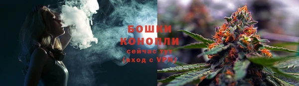 хмурый Белокуриха