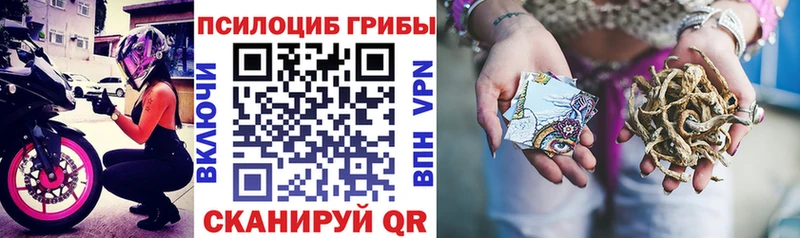 Псилоцибиновые грибы мицелий  Волоколамск 